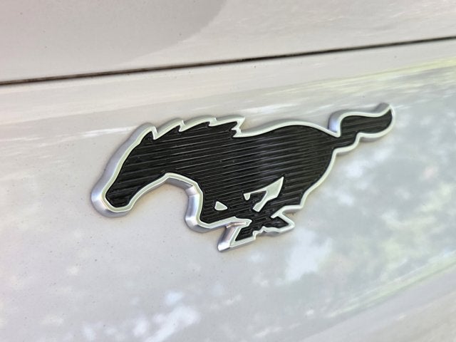 2022 Ford Mustang Mach-E Select