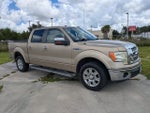 2011 Ford F-150 XL